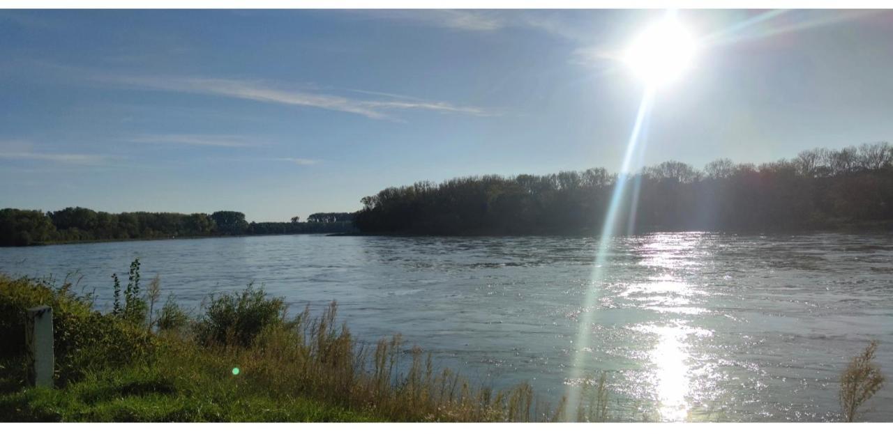 شقة Urlaub Am Rhein Speyer Hockenheim Altlussheim المظهر الخارجي الصورة